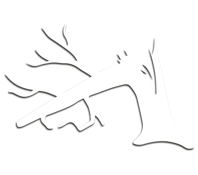 Tree Safety