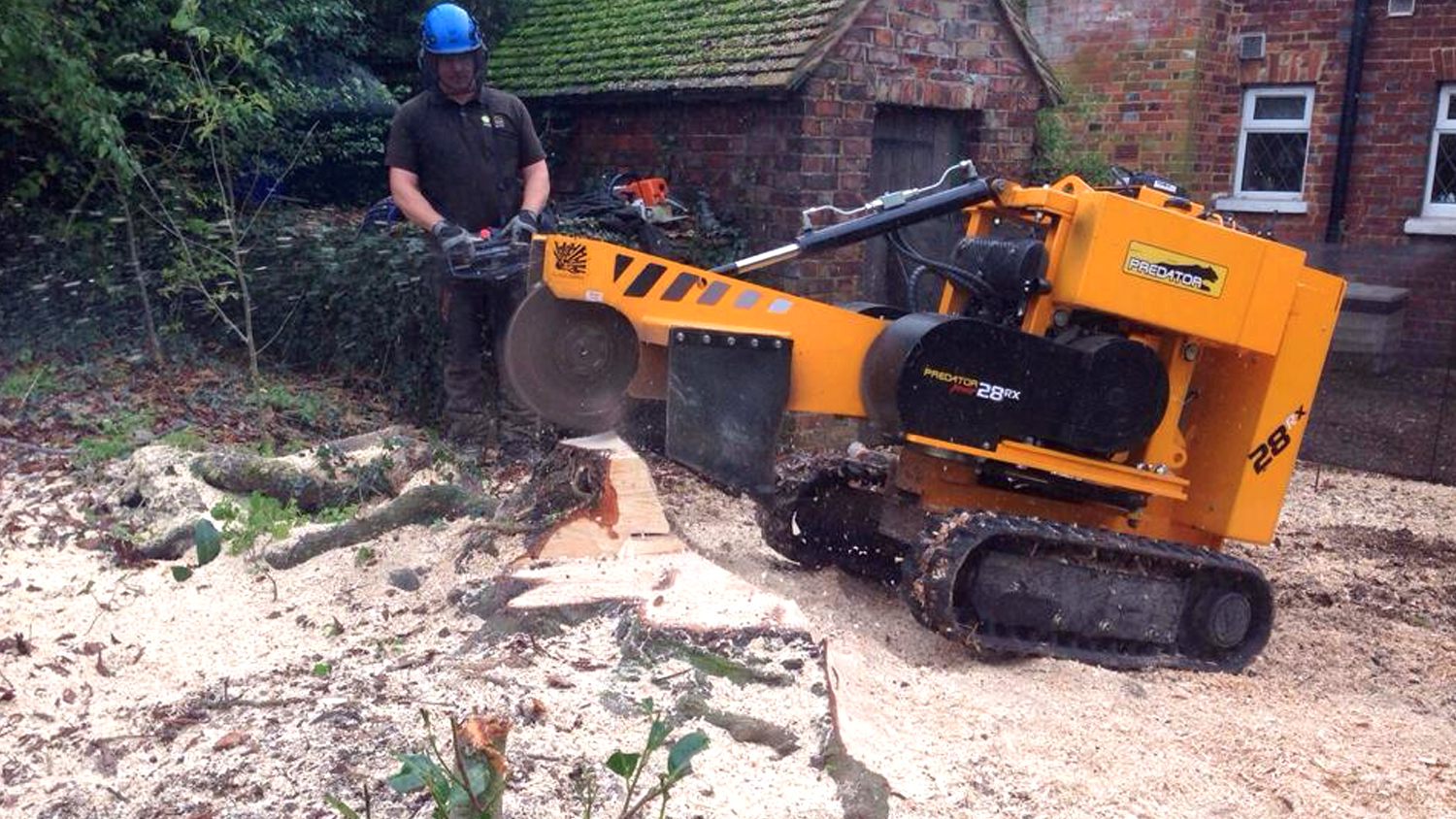Stump Grinding