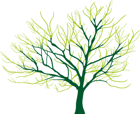 crown_reduction Crown reduction tree pruning example
