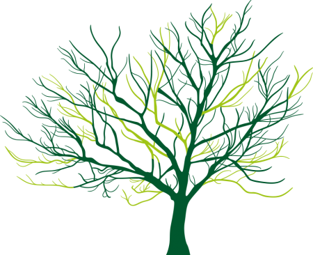 crown_thinning Crown thinning tree pruning example