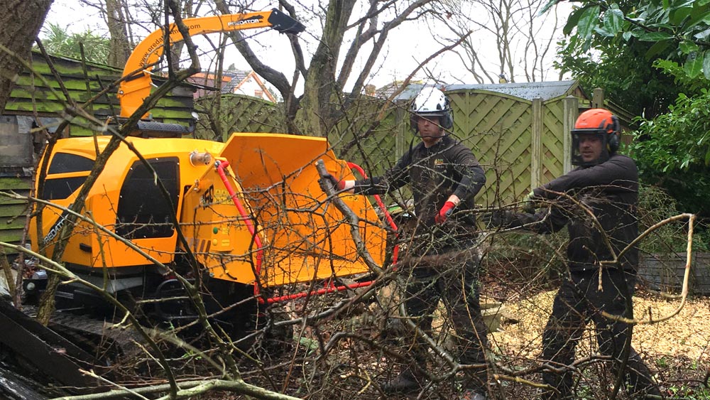 NPC Tree Surgery Chippers