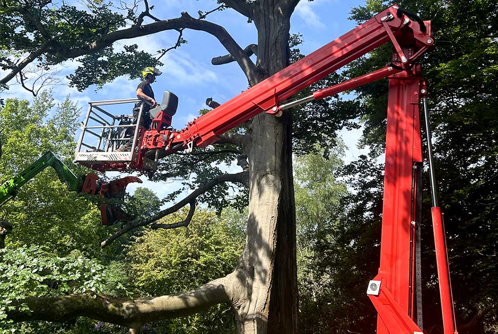 Mobile Elevating Work Platform